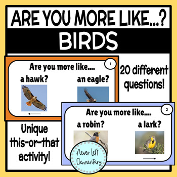 Preview of Birds - Are you more like....? Icebreaker & Get to Know You Activity