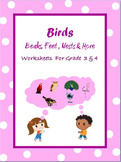 Birds  - Beaks, Feet, Nests and More /Google Classroom Dis