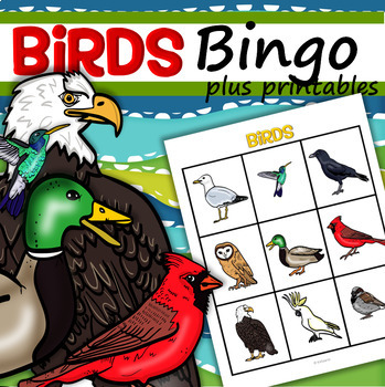 Preview of Birds Bingo plus Printables for Preschool and Pre-K