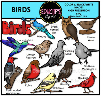 Preview of Birds 1 Clip Art Set {Educlips Clipart}
