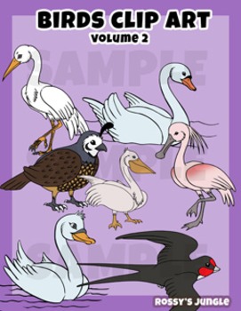 Preview of Birds Clip Art Set Volume 2
