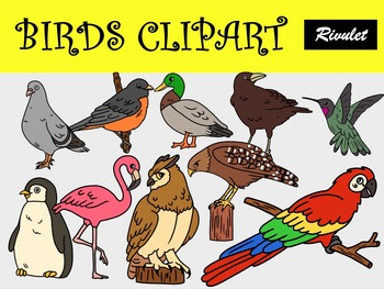 bird clipart for kids