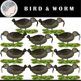 Birds Clipart - Worms Clipart - Color Clipart - Spring Cli