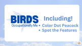 Birds: Color Dot Activity & Bird Feature Flashcards!!
