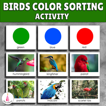 Preview of Bird Color Sorting Montessori Activity Cards