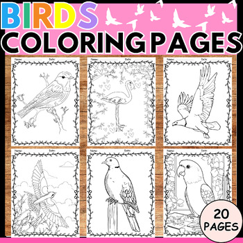 Preview of Birds Coloring Pages Activities - Animals Science Nature, Life Cycle, Facts,