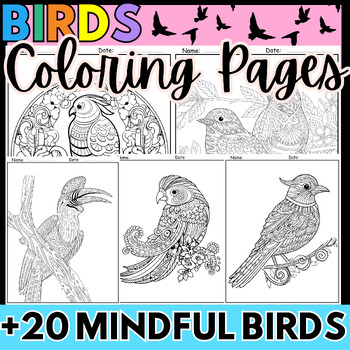 Preview of Birds Mindful Unit Coloring Pages Activity - Birds Brain Breaks Morning Work