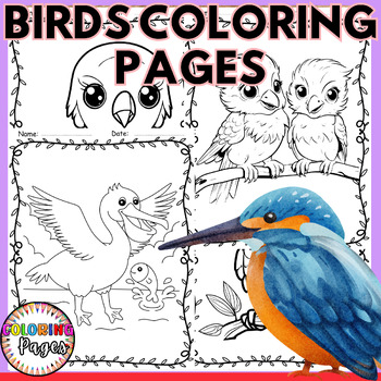 Preview of Birds Coloring Pages - Animals Science Nature Sheets - Morning Kindergarten Work