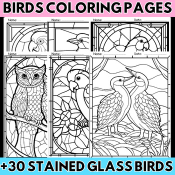 Preview of Stained Glass Birds Unit Coloring Pages - Birds Brain Breaks Morning Work