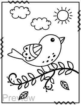 Birds Coloring Book: Coloring Books For Kids Age 8-12: Young