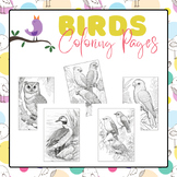 Birds Coloring Pages | Spring Time Activities