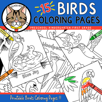 Preview of Birds Coloring Pages for Preschool | Kindergarten | First Grade