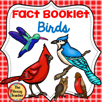 Preview of Birds Fact Booklet | Nonfiction | Comprehension | Craft