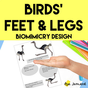 Preview of Bird Adaptation Feet & Legs Activities | Biomimicry Design Project| Nonfiction