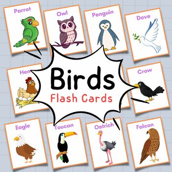 Backyard Bird Teaching Resources | TPT