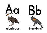 Birds Flashcard A-Z