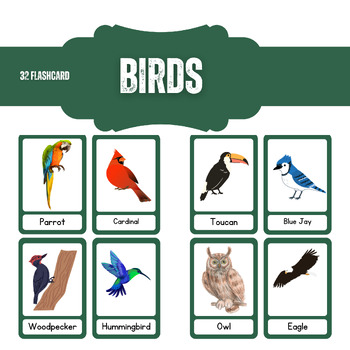 Preview of Birds Flashcards , 32 Clipart , PDF File And PPTX Files , Editable