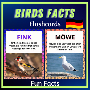 Preview of Birds Fun Facts ; Real Photo Flashcards, Posters Animals for kids German