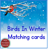 Birds In Winter - Montessori Matching Cards