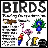 Birds Informational Text Reading Comprehension Bundle Anim