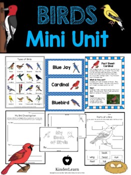 Preview of Birds Inquiry Mini Unit- Kindergarten Primary Science