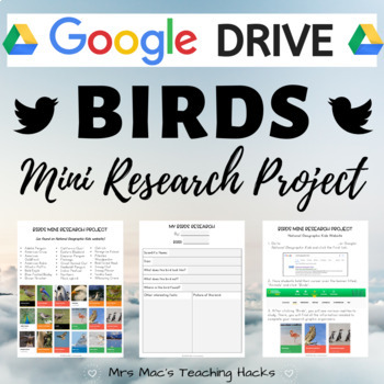 Preview of Birds Mini Research Project