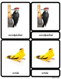 Birds Montessori Three-Part Cards & Lesson, compatible w/ 