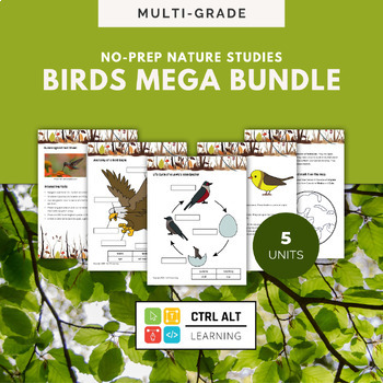 Preview of Birds Multi-Grade Unit Study Bundle