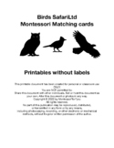 Birds NO LABELS (SafariLtd) Montessori Matching Cards