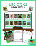 Birds: Nests (Life Cycles Pack)