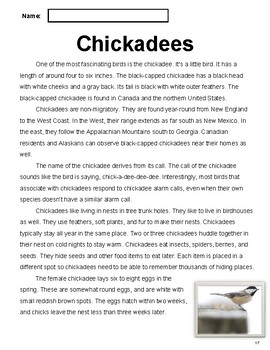 Preview of Birds Nonfiction Reading Comprehension Passage 3: Chickadees (Grade 4-5)