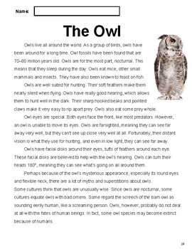 Birds Nonfiction Reading Comprehension Passage 4: The Owl (Grade 4-5)