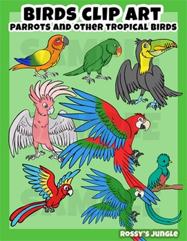 Preview of Birds: Parrots and other tropical birds clip art set