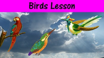 Preview of Birds Lesson with Power Point, Worksheet, and Color Activity