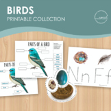 Birds Printable Collection, Montessori inspired bird activ