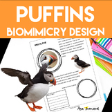 Birds Puffin Project | Biomimicry Design Activity | Bioflo