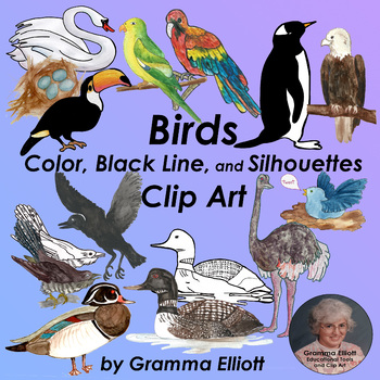 Preview of Birds Realistic Clip Art in Color and Black Line and Silhouettes