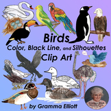 Birds Realistic Clip Art in Color and Black Line and Silhouettes