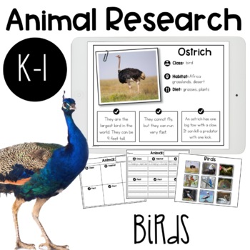 Preview of Birds Research Report | Digital option included