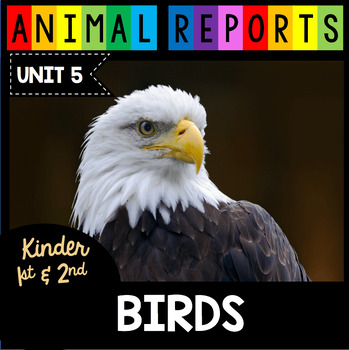 Preview of Bird Research Reports - Birds - Nonfiction Reading Expository Writing Facts