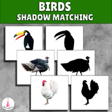 Birds Visual Discrimination Activity - Shadow Matching Mon