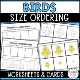 Birds Size Ordering | Order by Size | Cut and Glue