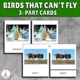 Birds That Can't Fly Montessori 3-part cards