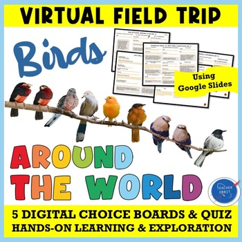 Preview of Birds Virtual Field Trip Activity | Migration Conservation Earth Day Spring