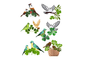 Preview of Birds and Clover set