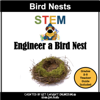 Preview of Birds and Engineering a Nest Challenge