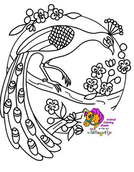 Birds and Flowers - Spring Nature Coloring Pages TpT