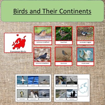 Birds and Their Continents Science Geography Study by Simply Learning Shop