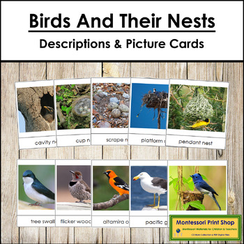 Preview of Birds and Their Nests - Information & Photographic Cards