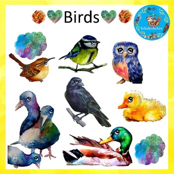 Preview of Birds and Bird Types Clipart Set 2 {Watercolour Animal Science Clip Art}